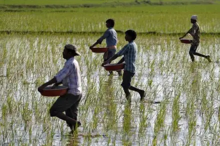 Indian farmers, farmers in india, Uplifting the poor, sexual harassment, metoo, film industry, opinion news