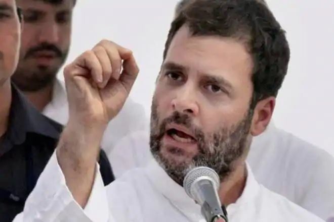 Rahul Gandhi, congress president rahul gandhi, congress, lok sabha elections, lok sabha election results 2019, lok sabha