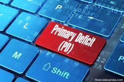 What is Primary Deficit?
