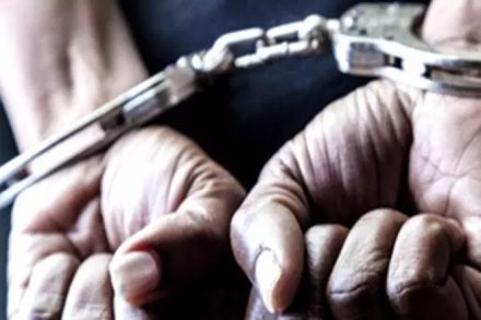 monty chadha, ponty chadha, monty chadha arrested, monty chadha held, wave cinema, wave group