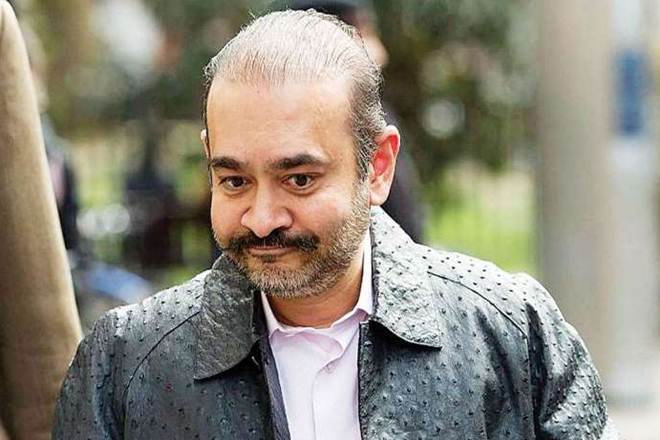 DRT, Nirav Modi, partners, Debt Recovery Tribunal, DRT act, PNB, punjab national bank, Scotland Yard, india news