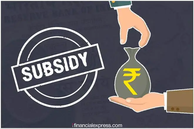 what is the purpose of a subsidy, what is subsidy with example
