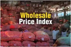 What is Wholesale Price Index (WPI)?