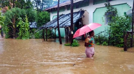 Rain, price pressure, Kerala, banana, veggie, export, import, economy news