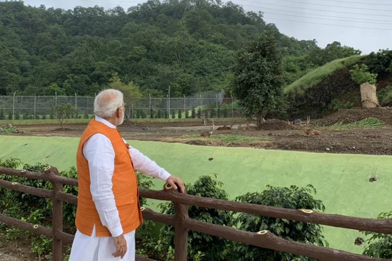 modi birthday, pm modi birthday, modi ji birthday, modi ji, modi image, modi pic, modi photo, modi birthday wishes, modi ji ka birthday, modi birthday photo