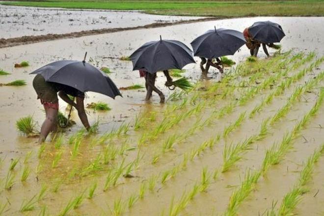 Rural economy, amul story, management education, five trillion economy, agriculture, GDP, White Revolution, rural india, Dr Kurien, dairy movement, Unnat Bharat Abhiyan