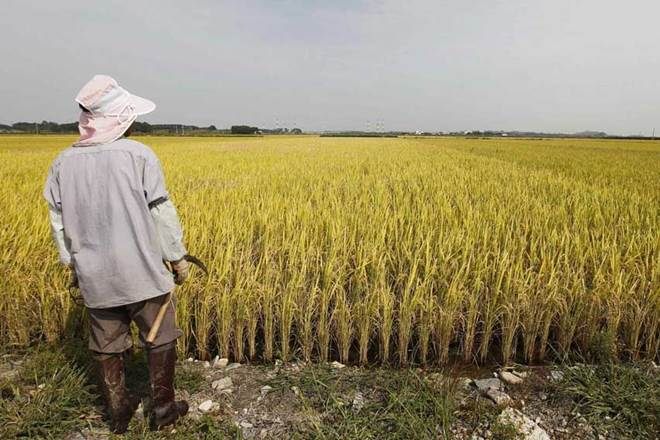 Kisan Pathshala for doubling farmers’ incomes