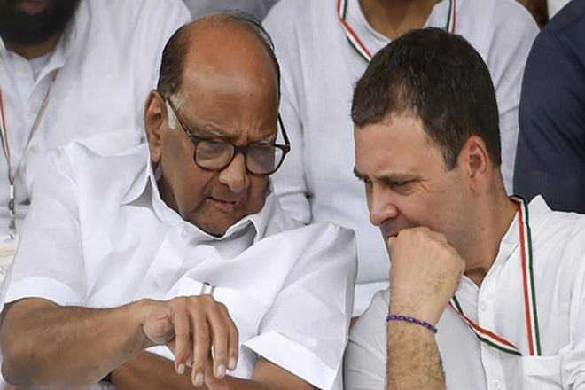 maharashtra assembly elections, ncp, congress, maharashtra opinion poll, congress, ncp
