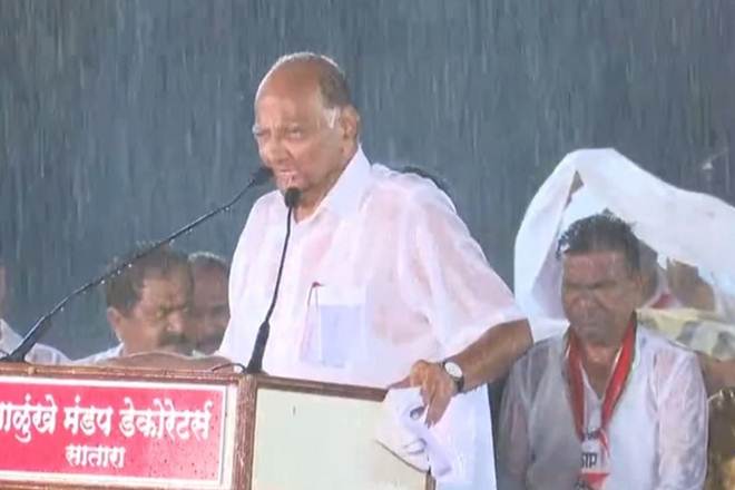 Sharad Pawar addresses rally in rain in Satara