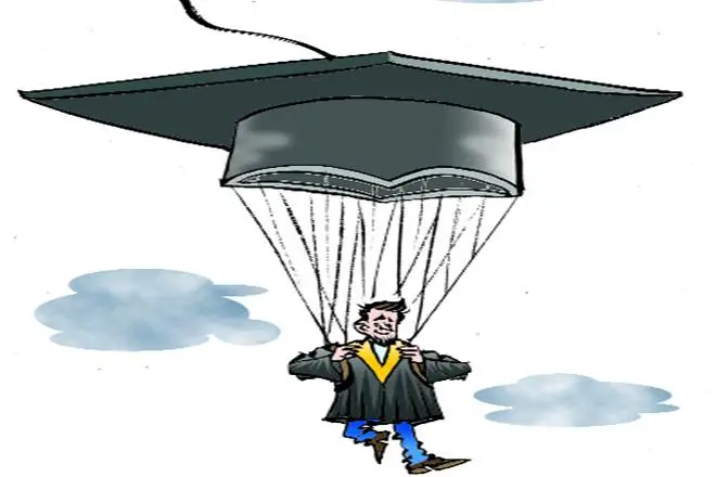 education, higher education