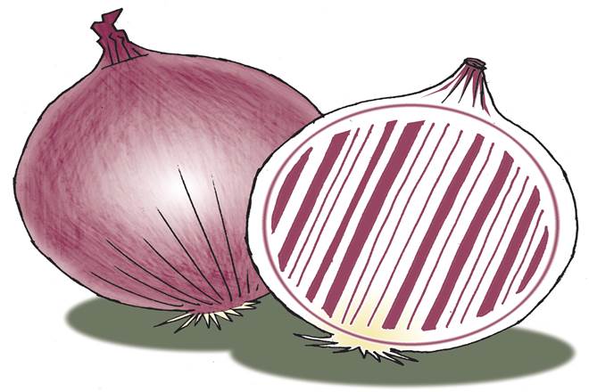 Spreading the production of onions across the country and close to the places of consumption can help avert such situations.