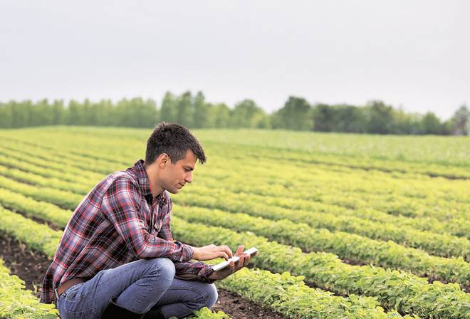 agri tech, India, agri tech start up, dairy tech, agricultural tech, Digital technology