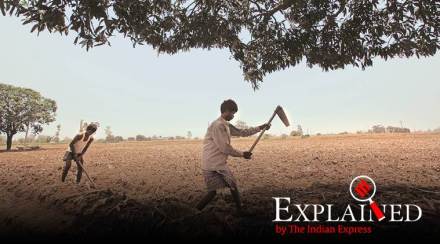 pm kisan scgeme, agriculture sector