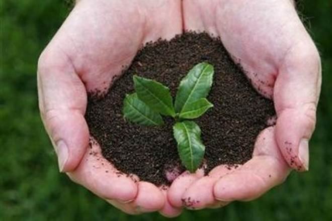 DATA DRIVE: Huge pendency in green cases