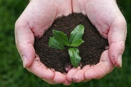 DATA DRIVE: Huge pendency in green cases