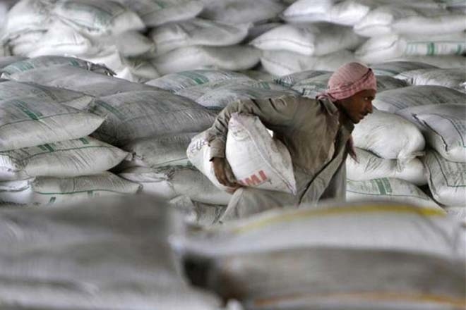 Shree Cement share price rallies 40% since April; what should investors do after Q1, buy, sell or hold?