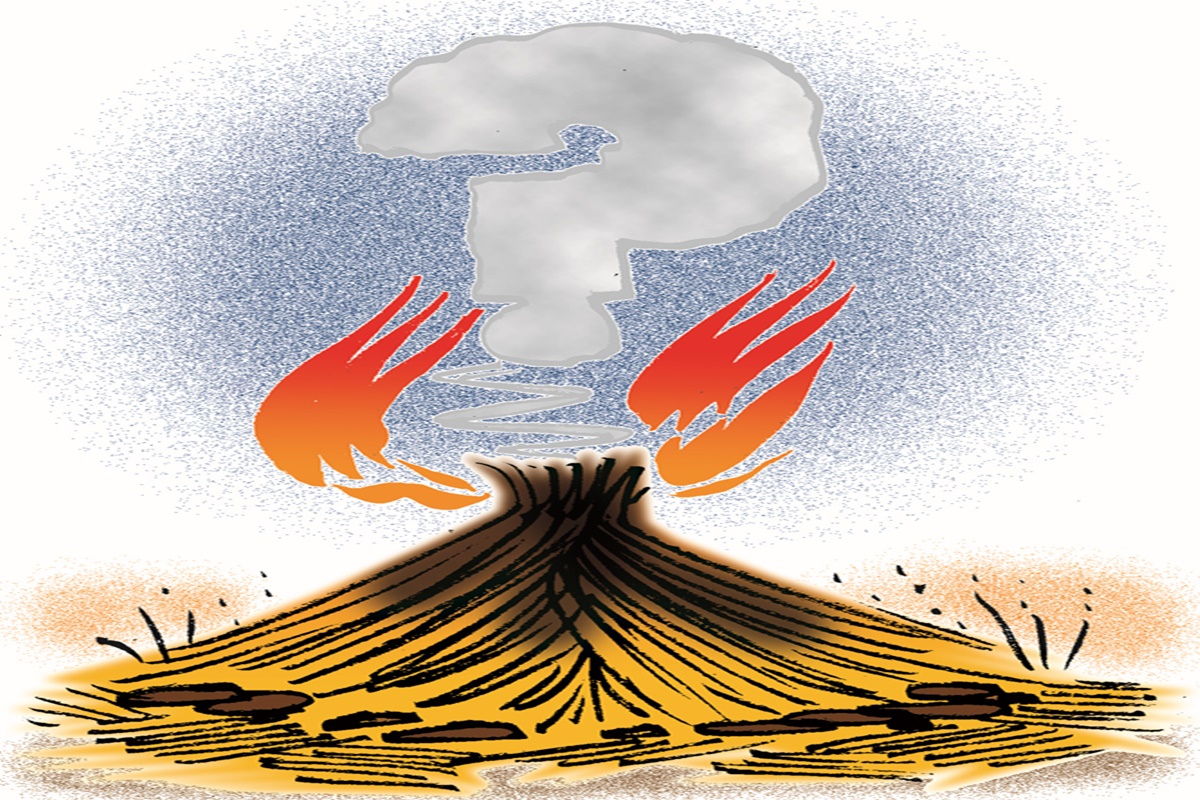 Paddy straw is not a substitute for noburningstubble