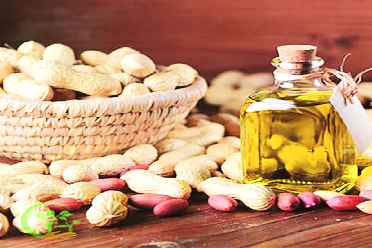 Groundnut oil prices skyrocketing Commodities News The Financial