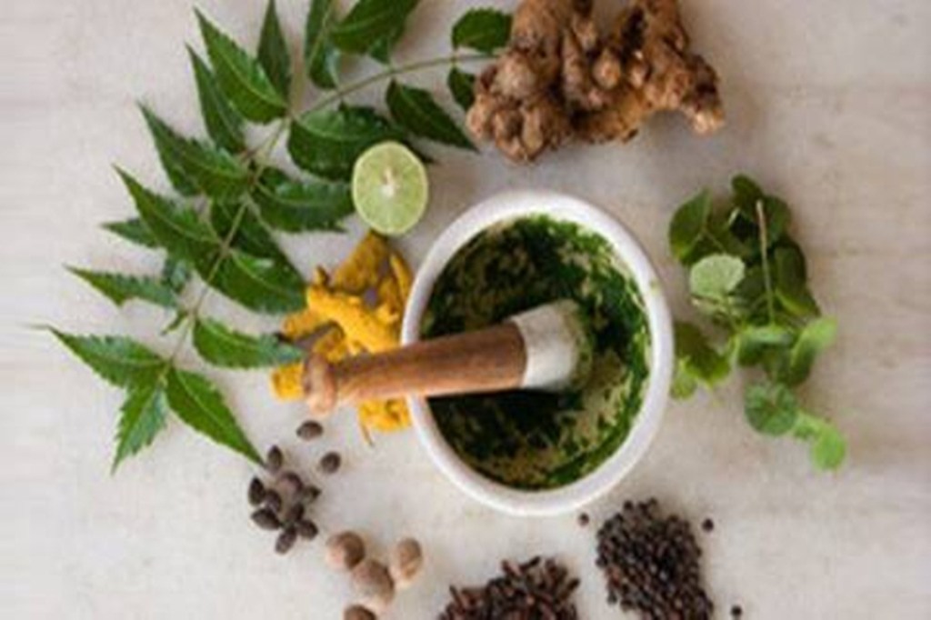 Govt authorises postgraduate Ayurveda practitioners to be trained to