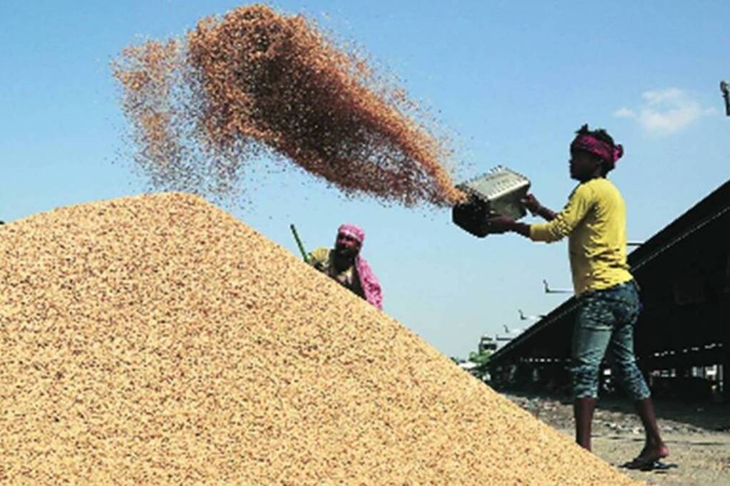 Paddy procurement