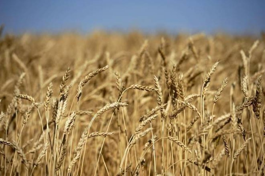The farm-agitations’ demand to repeal the three farm laws and legalise minimum support prices (MSPs) baffle us, given the apprehensions over the impact of the laws on the farmers are mostly misplaced.