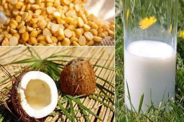 The Right to Protein initiative recently interviewed over 500 nutrition and health experts recently to determine the roles of various stakeholders in bridging the protein gap in India.