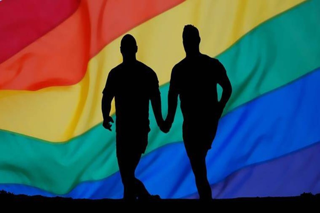 India can follow the example of countries like France and England, where equal partner rights were granted to same-sex couples, before legalising same-sex marriage. (Representative image)