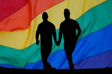 India can follow the example of countries like France and England, where equal partner rights were granted to same-sex couples, before legalising same-sex marriage. (Representative image)