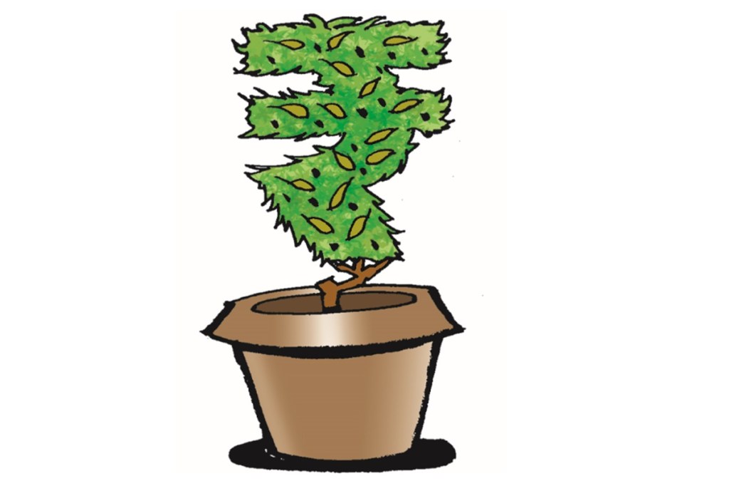 While assessing the economic attractiveness of a target stock, young equity investors must ensure that the target firm earns an ROE which is higher than that of its ROC.