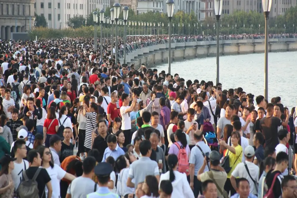 Chinese population, chinese population growth, China annual census, second-largest economy., 0.53 per cent growth in Chinese population, National Bureau of Statistics
