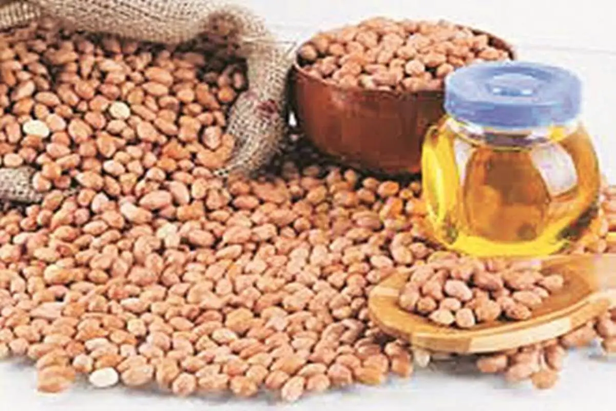 Gujarat to see bumper crops of groundnut and sesame this summer