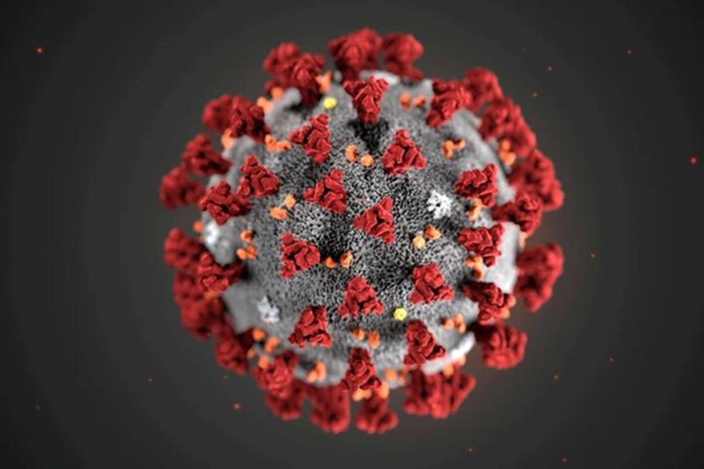 coronavirus pandemic