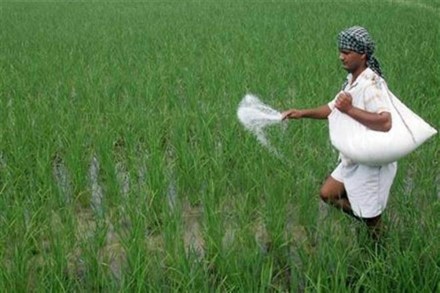 The total fertiliser bill for the current financial year is pegged at Rs 79,530 crore, against Rs 1.28 lakh crore, with urea being the most commonly used and the most subsidised fertiliser.