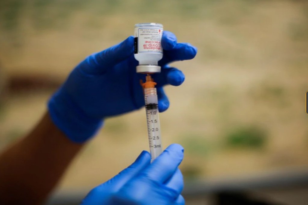 This Vaccine May Be Your Secret Weapon Against Bird Flu. (Ferret Study) - xjodyvr