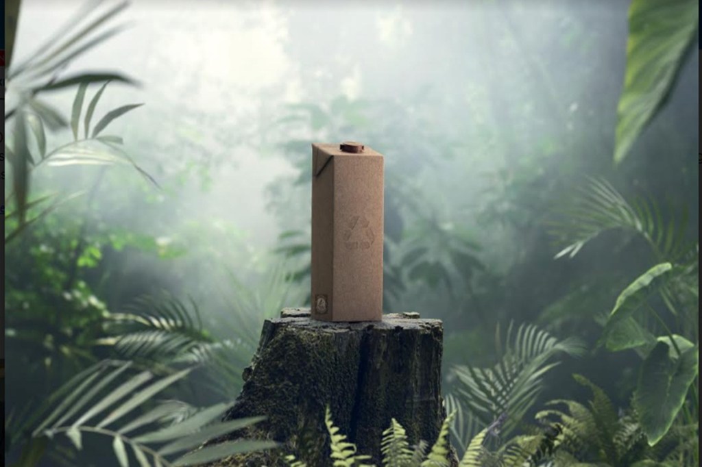 tetra forest