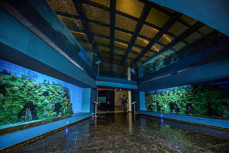 Narendra Modi, Ahmedabad Science City, Science City, Ahmedabad, aquatic gallery, nature park, robotic gallery, Gandhinagar Capital railway station, Gandhinagar station