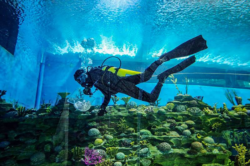 Narendra Modi, Ahmedabad Science City, Science City, Ahmedabad, aquatic gallery, nature park, robotic gallery, Gandhinagar Capital railway station, Gandhinagar station