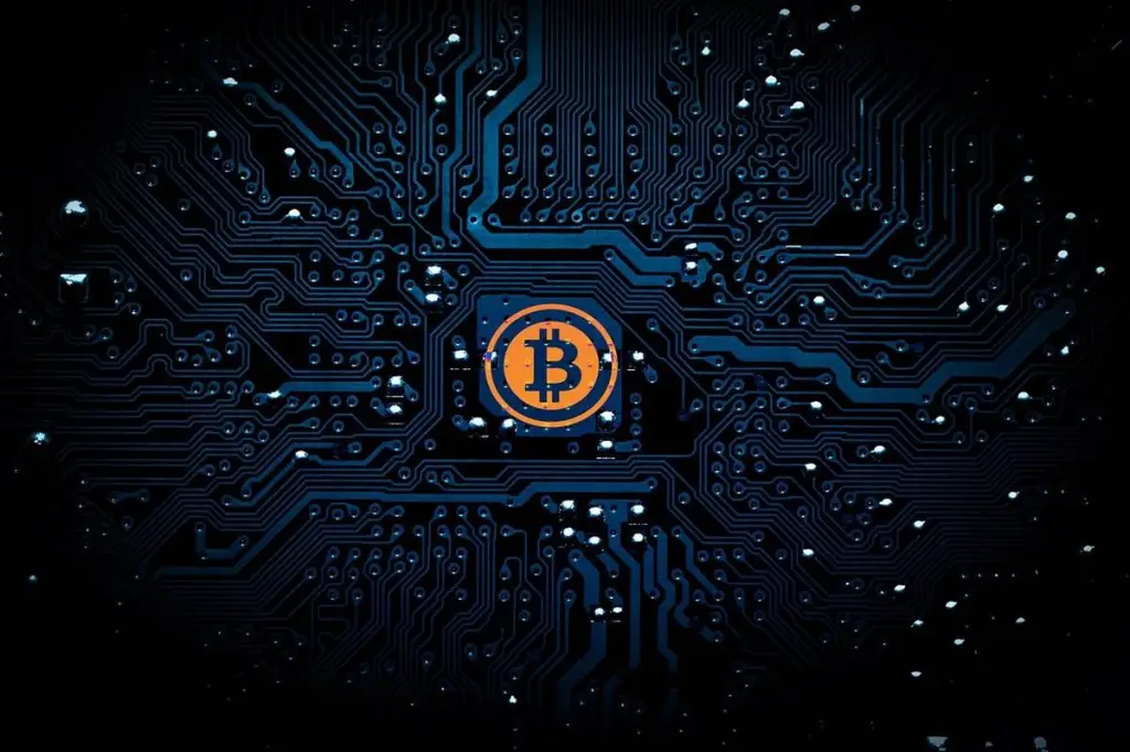 total number of cryptocurrency investors in india