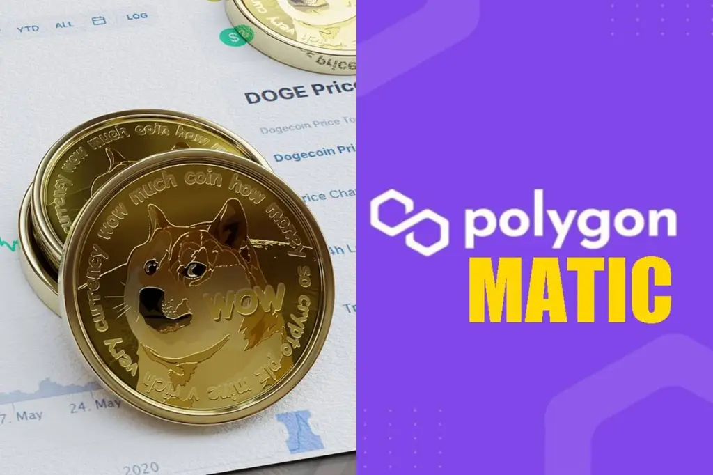 dogecoin vs matic which is better