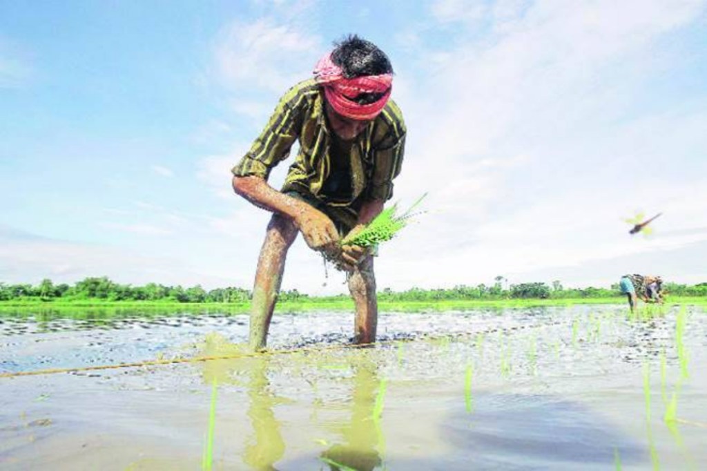 seven lakh ,maharshtra farmers, current monsoon season, armers call insurance firms, crop damage, state agricultural commissionerate's chief statistical officer Vinaykumar Awate seven lakh ,maharshtra farmers, current monsoon season, armers call insurance firms, crop damage, state agricultural commissionerate's chief statistical officer Vinaykumar Awate