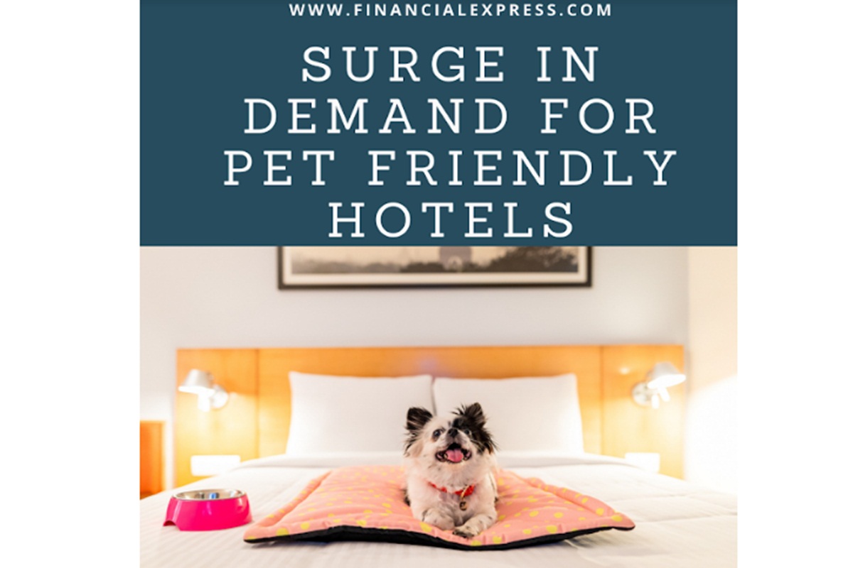 How to travel with pets Your next hotel booking can include your furry
