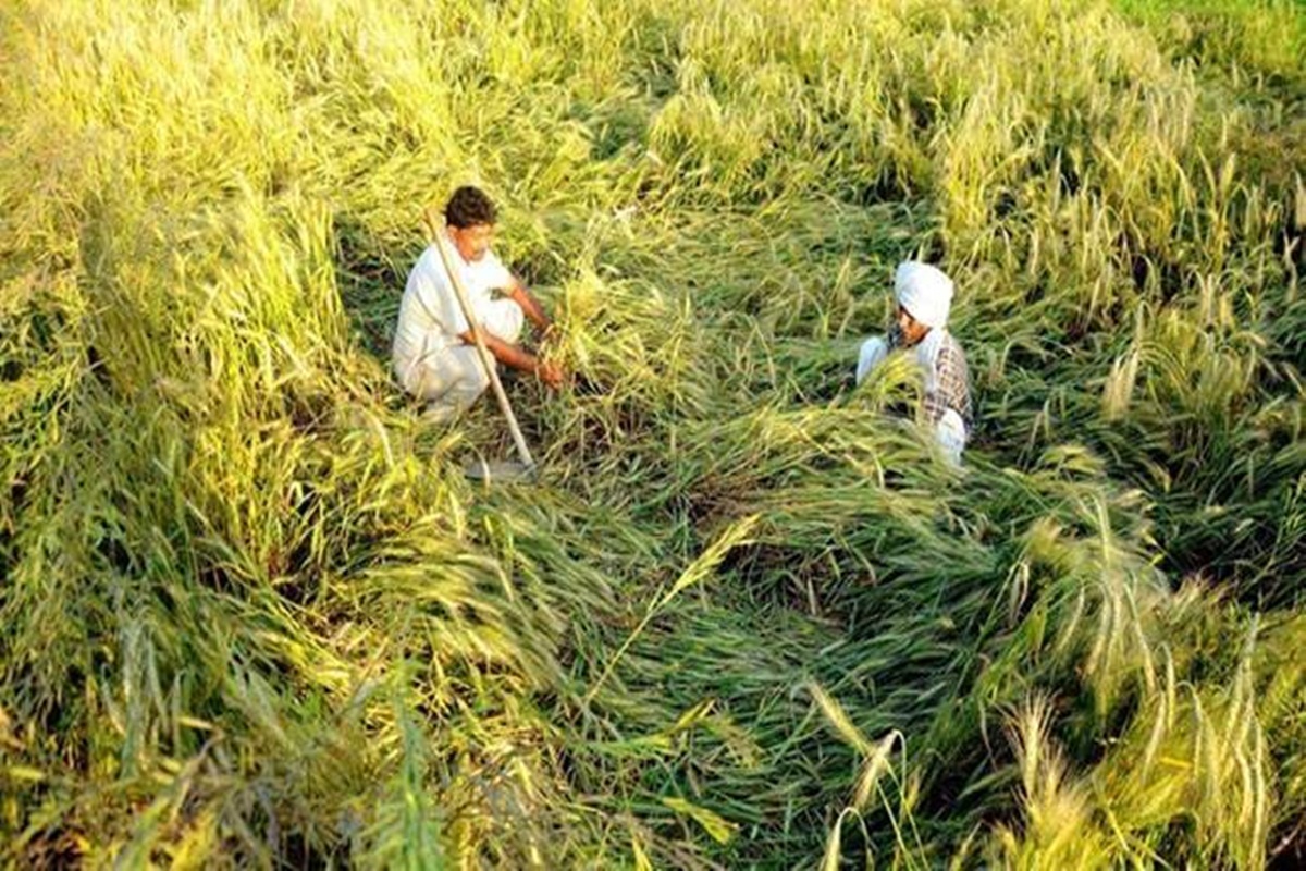 Crop insurance claims at Rs 9,570 cr for 202021 lower by over 60 pc