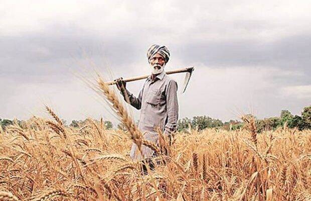The saga of the farmer agitation is yet another manifestation of the narrative of farmer distress that stalks the India growth story.