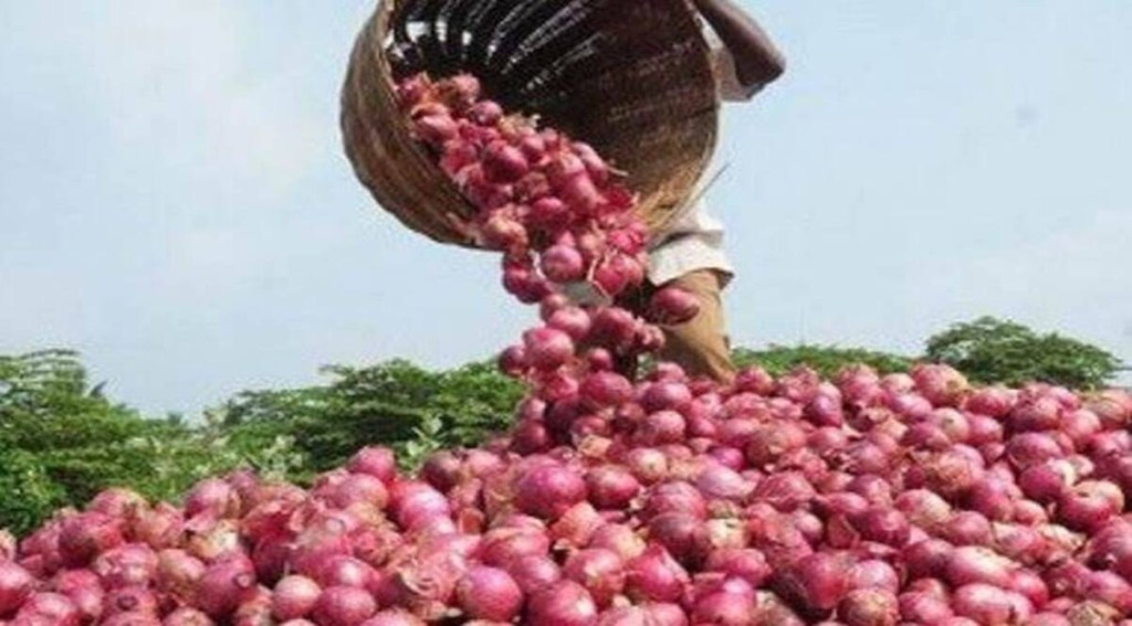 Onion exporters hope for good season ahead as competition in export