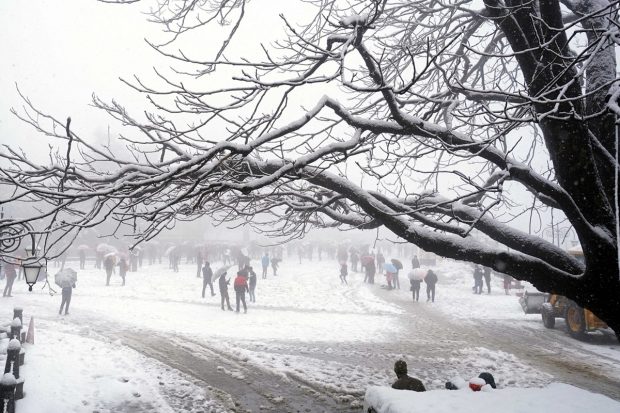 Tourists and locals walk at Ridge during snowfall in Shimla. (PTI Photo)