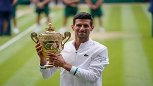 Djokovic, who is not vaccinated, said he tested positive in mid-December. (File/AP)