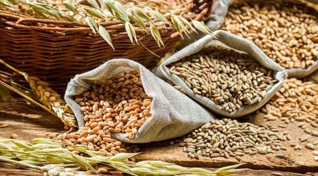 FCI is the central agency that manages procurement, storage and transportation of rice and wheat to states for distribution mainly for the NFSA and other welfare schemes.