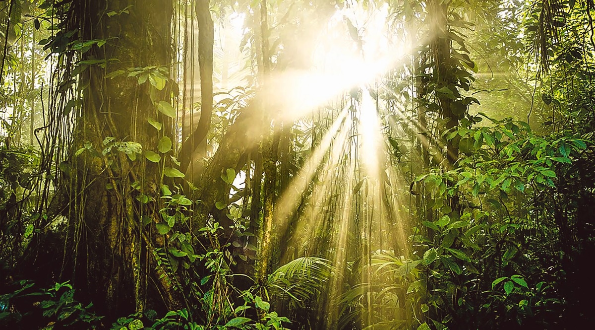 Nature reels Environmentcentric TV shows never fail to inspire