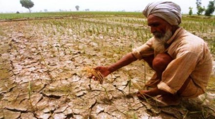 farming