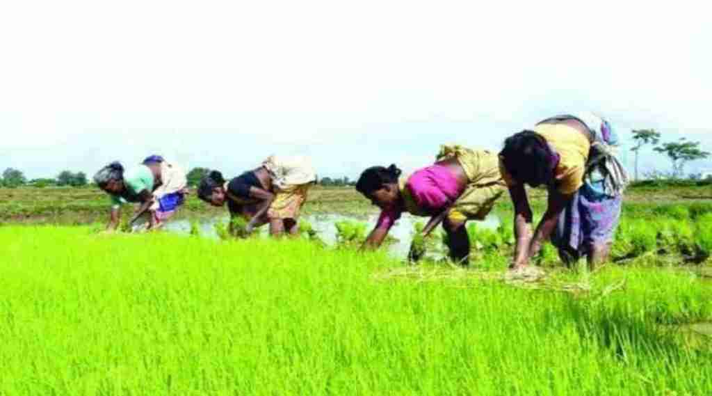 The objective of the scheme is promoting natural farming in areas where chemical farming has not reached yet.